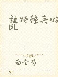 被特种兵啪到哭BL