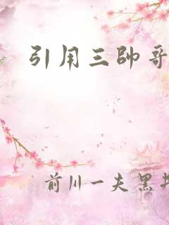 引用三帅哥