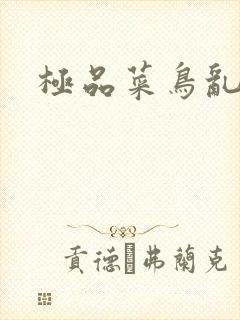 极品菜鸟乱江湖