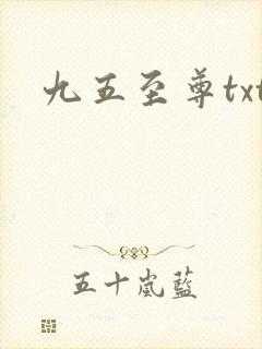 九五至尊txt