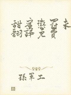 甜蜜惩罚未增删翻译免费