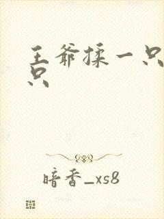 王爷揉一只舔一只