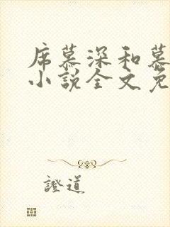 席慕深和慕清泠小说全文免费阅读