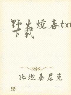 野火烧春txt下载