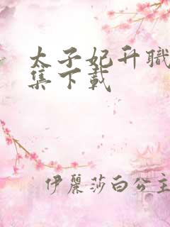 太子妃升职记全集下载