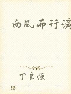 向风而行演员表