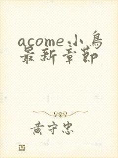 acome小鸟最新章节