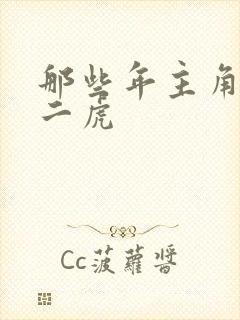 那些年主角是贾二虎