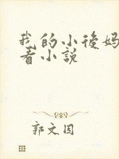 我的小后妈免费看小说