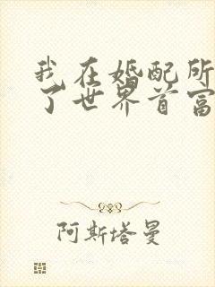 我在婚配所摇到了世界首富小说