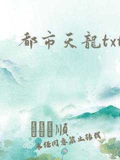 都市天龙txt