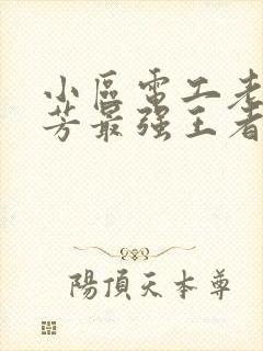 小区电工老周刘芳最强王者