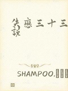 失恋三十三天小说