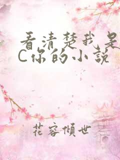 看清楚我是怎么C你的小说