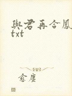 与君再合凤求凰txt