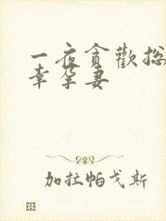 一夜贪欢总裁的幸孕妻