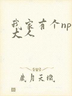 我家有个npc大人