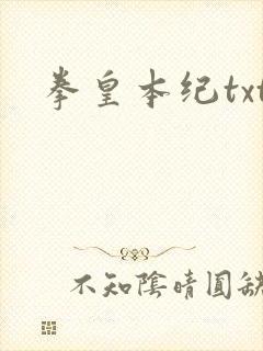 拳皇本纪txt