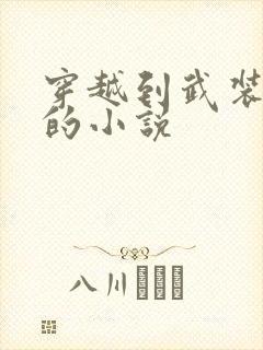 穿越到武装少女的小说