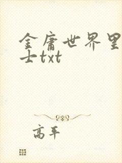 金庸世界里的道士txt