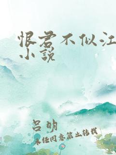 恨君不似江楼月小说