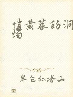 俏黄蓉的洞房花烛