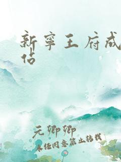 新宁王府成人网站