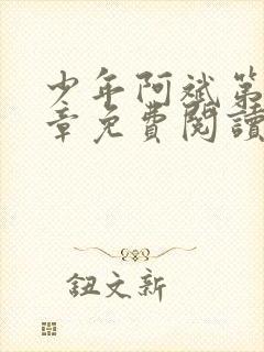 少年阿斌第13章免费阅读