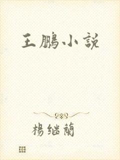 王鹏小说