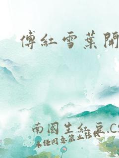 傅红雪叶开