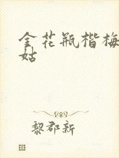 金花瓶楷梅花尼姑