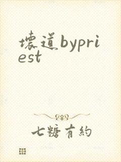 坏道bypriest