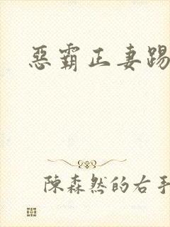 恶霸正妻踢娇妾