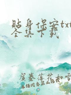 贴身保安txt全集下载