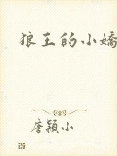 狼王的小娇妻