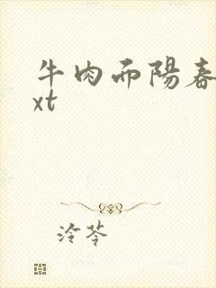 牛肉面阳春面txt
