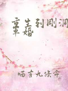 重生到刚洞房的军婚