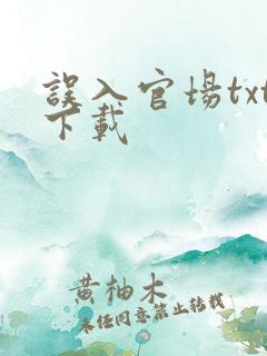 误入官场txt下载