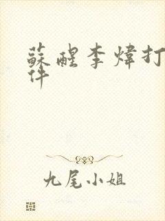 苏醒李炜打架事件