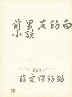 前男友的白月光小说