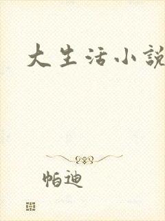 大生活小说