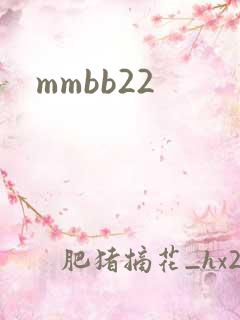 mmbb22