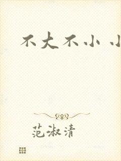 不大不小 小说
