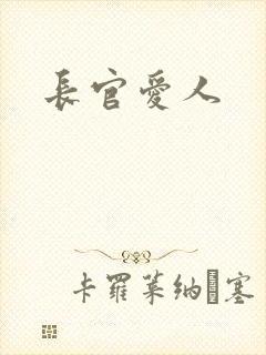 长官爱人