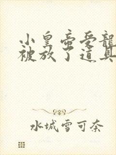 小皇帝受龙椅上被放了道具