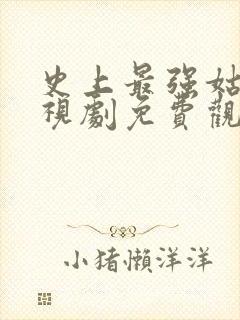 史上最强姑爷电视剧免费观看