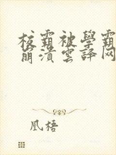 校霸被学霸玩到崩溃云译网