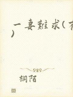 一妻难求(有肉)