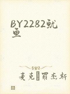 BY2282鱿鱼