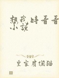 想我时看看星空小说